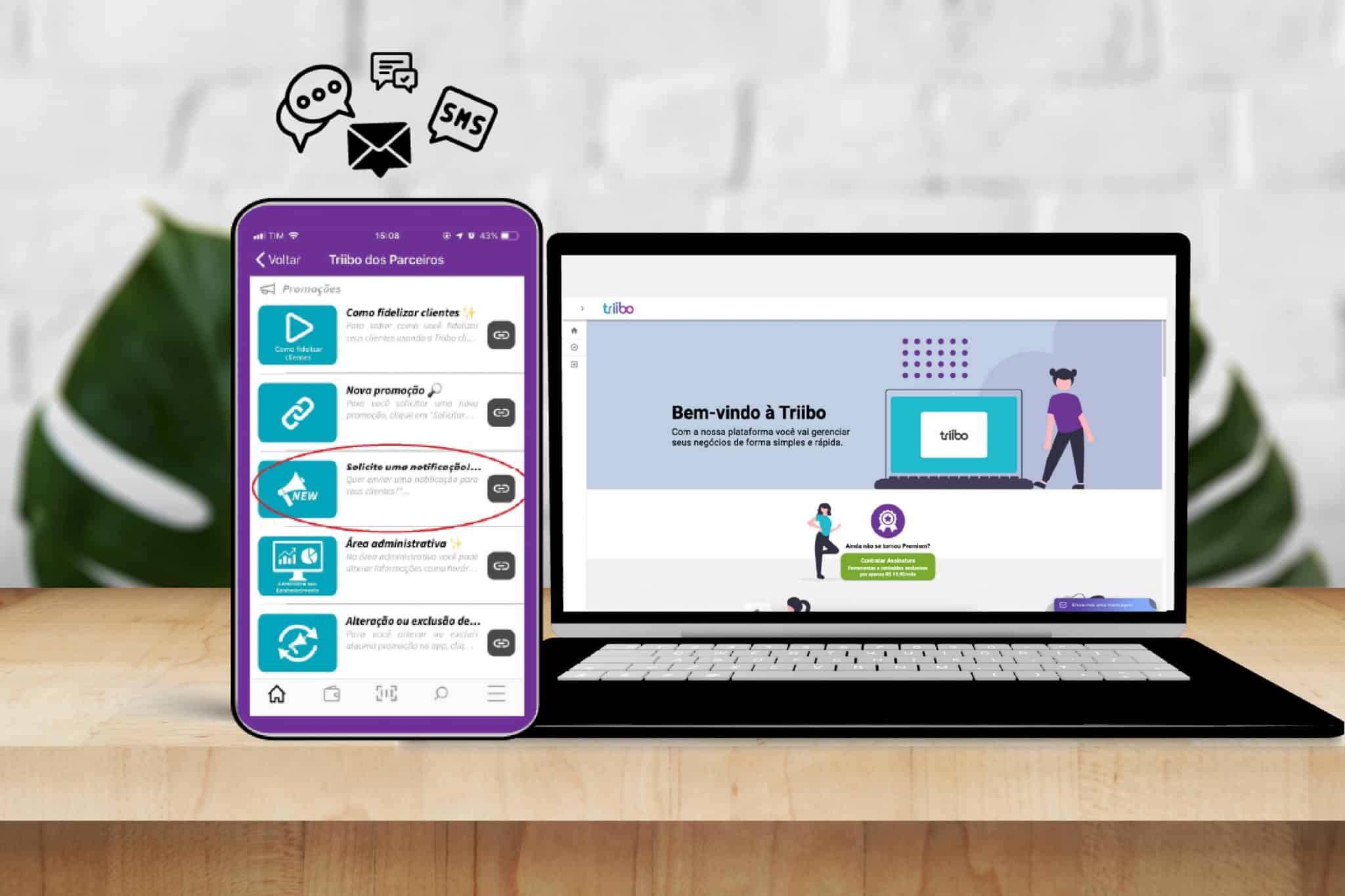 Interface do acesso de parceiros. Fidelização e vendas