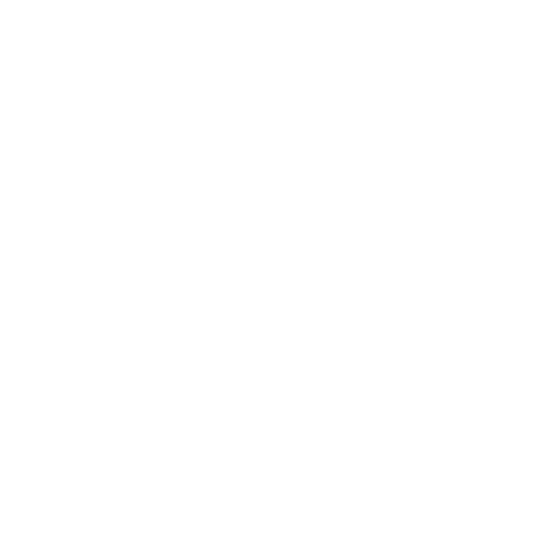 AON logo branca