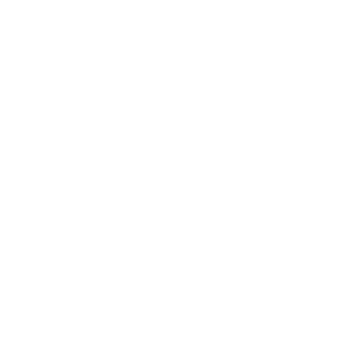 Caltim logo branca