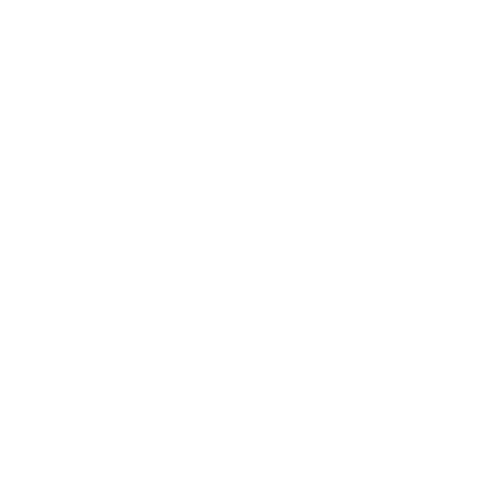 Viva Food